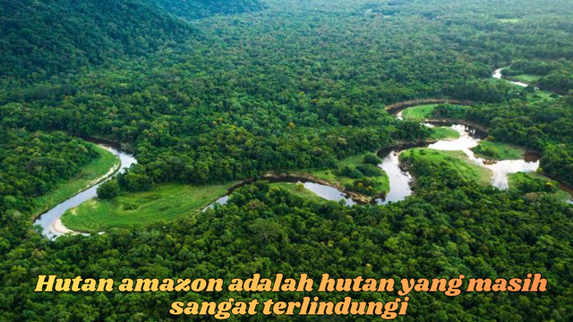 hutan amazon